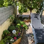 Jardin D'eden